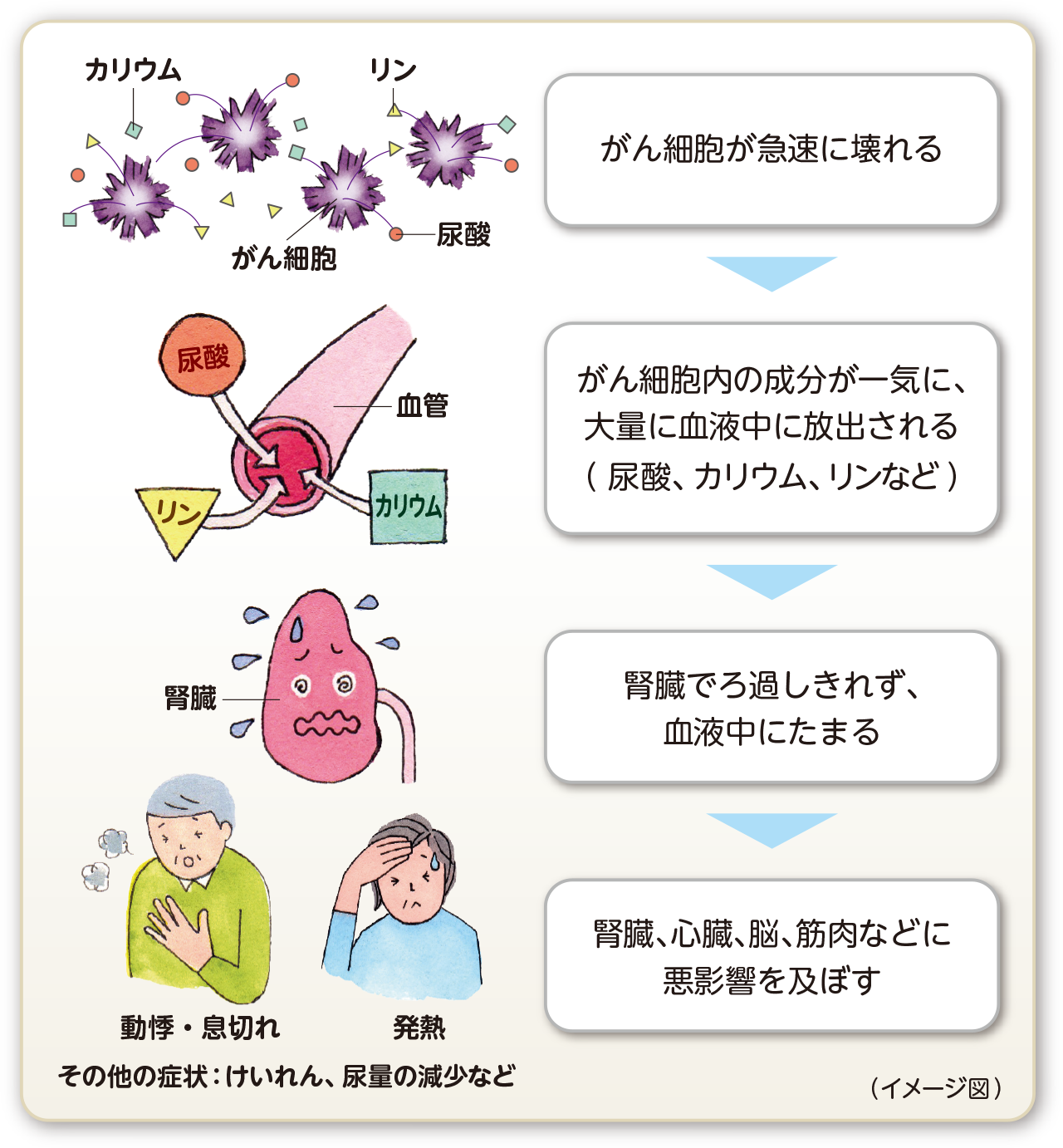 腫瘍細胞が急速に壊れる→大量の成分が血液中に放出（尿酸、カリウム、カルシウム、リンなど）→腎臓でろ過しきれず血液中にたまる