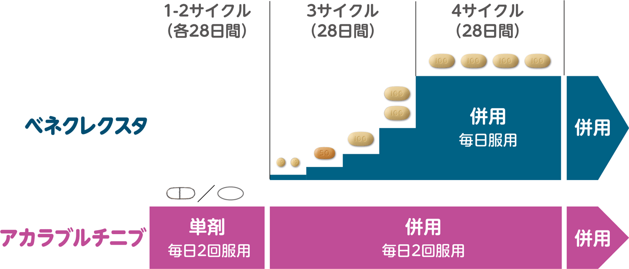 ベネクレクスタとアカラブルチニブの服用スケジュールのイメージ