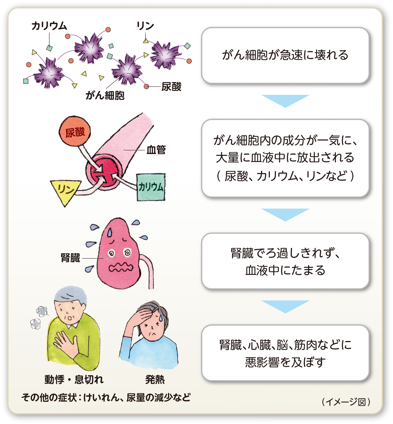 腫瘍細胞が急速に壊れる→大量の成分が血液中に放出（尿酸、カリウム、カルシウム、リンなど）→腎臓でろ過しきれず血液中にたまる